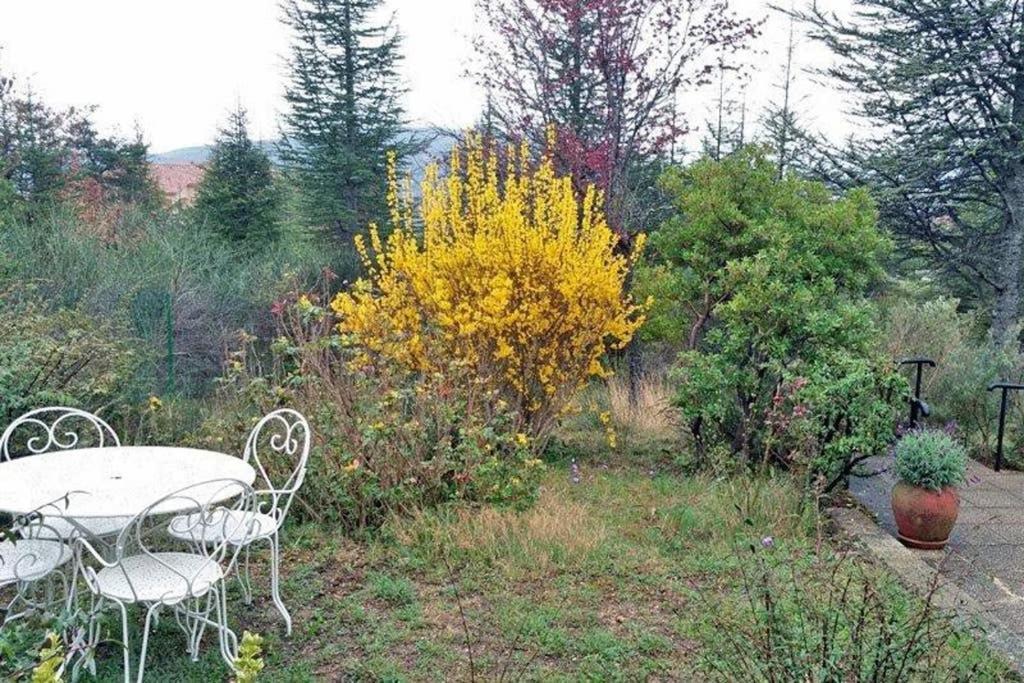 Villa La Lurette, Appartement Et Studio Saint-Etienne-les-Orgues Экстерьер фото